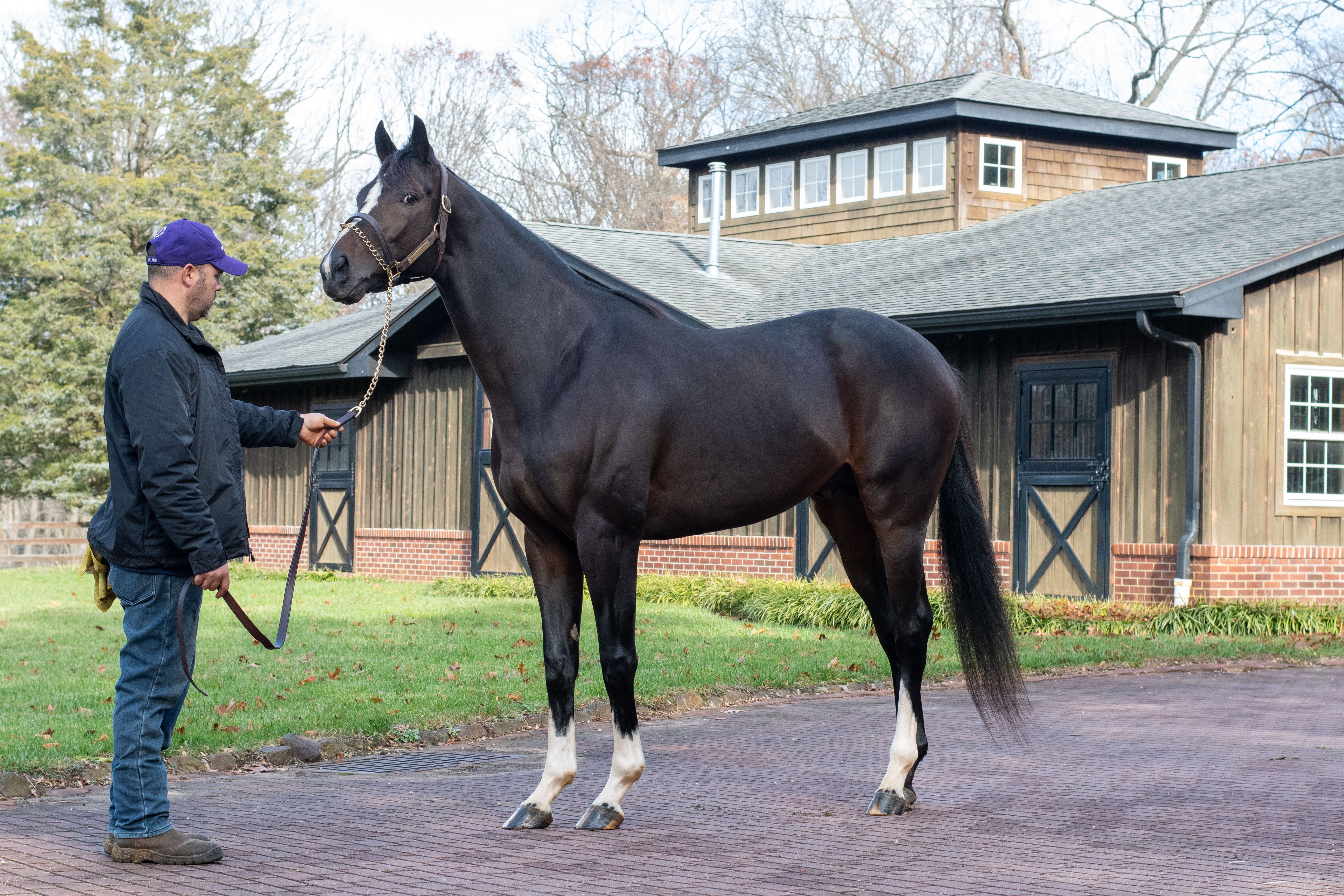 Shareholder Update Call - July 8, 2021