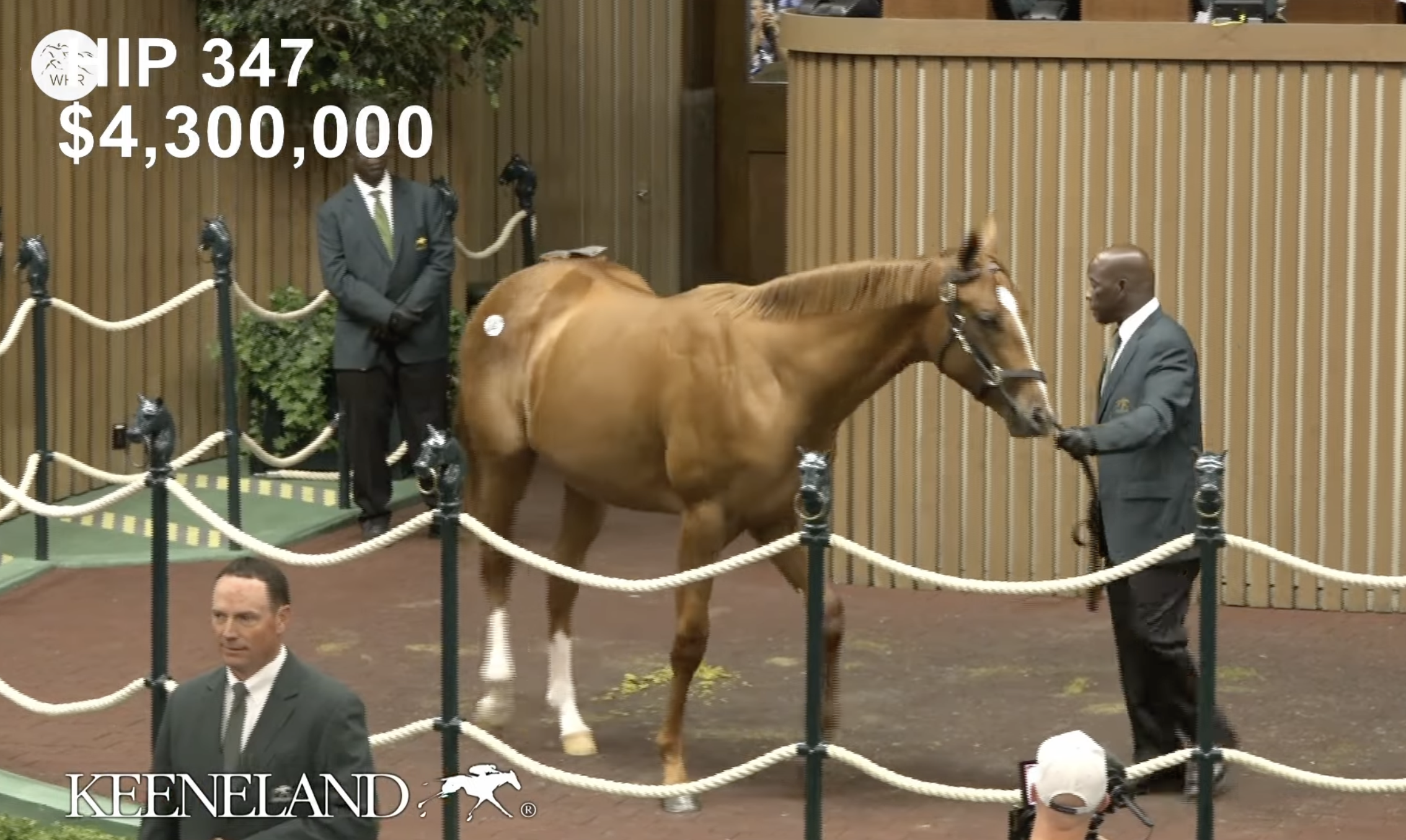 Million Dollar Babies