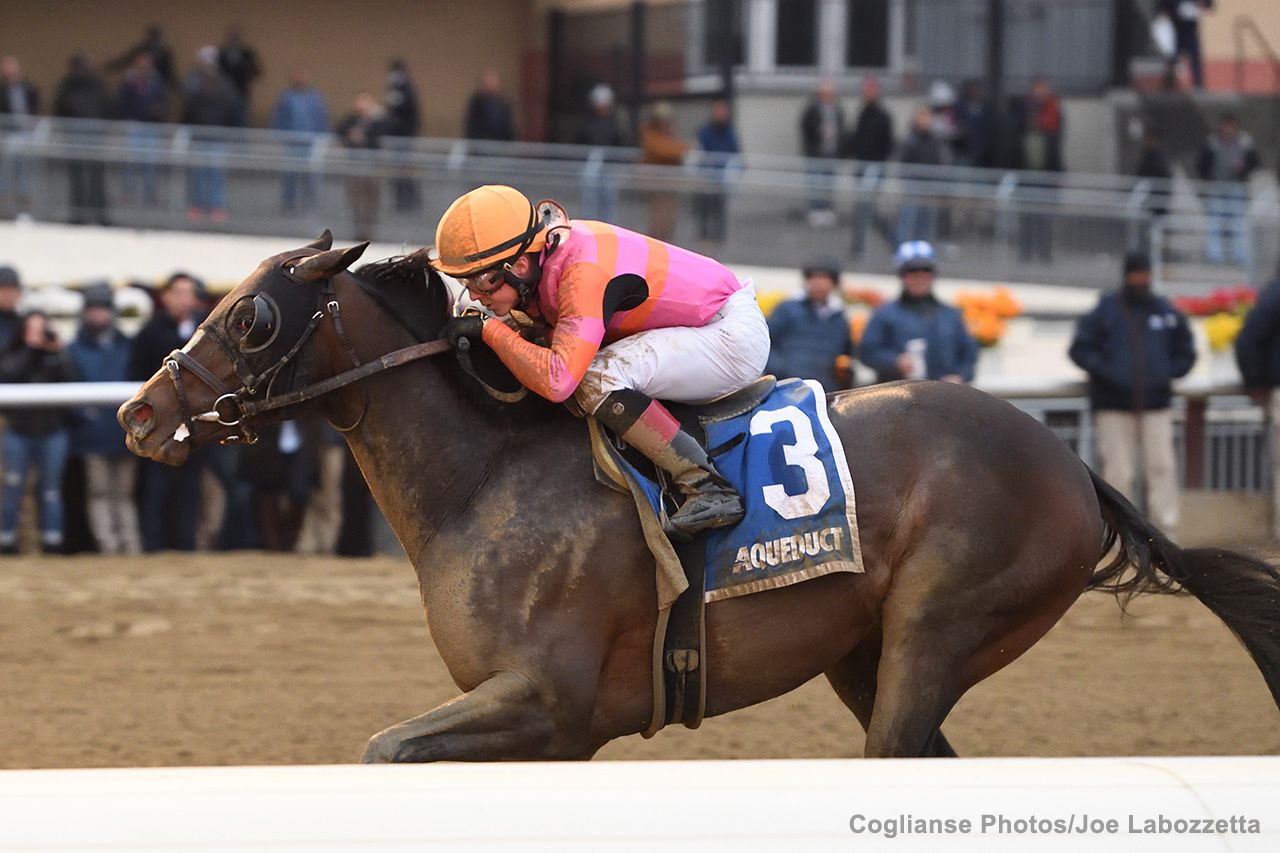 Max Player Workout - August 17, 2020