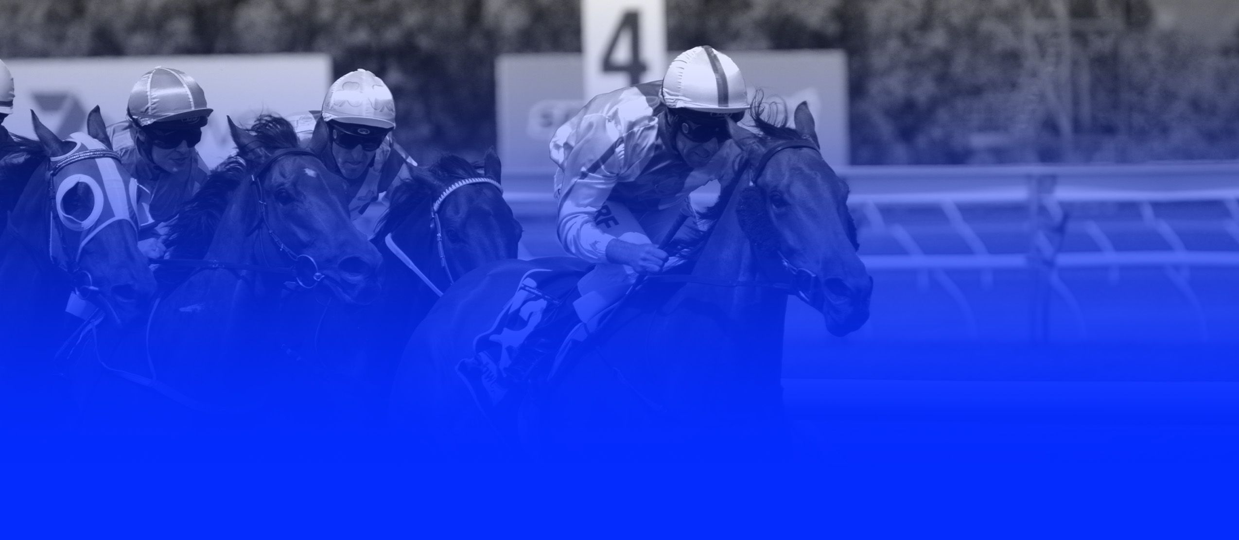 Max Player Preps For Saudi Cup - February 14, 2021